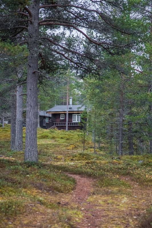Beautiful traditional Norwegian house in the forest. Colorful autumn scenery in Norway. Rural living in woods, stock photo