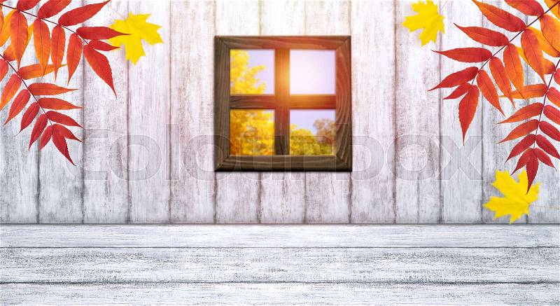 Room interior with window on wooden wall background in Shabby Chic style and autumnal leaves. Autumn sunny day. Empty space for your decoration, text or advertising, stock photo
