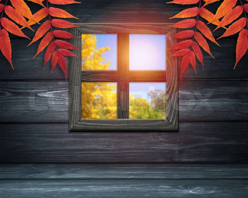 Room interior with window on dark wooden wall background and autumnal leaves. Autumn sunny day. Empty space for your decoration, stock photo