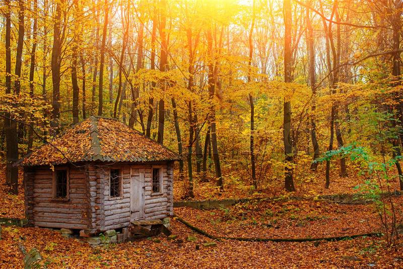 Remoted old wooden shack of ranger in autumn forest, stock photo