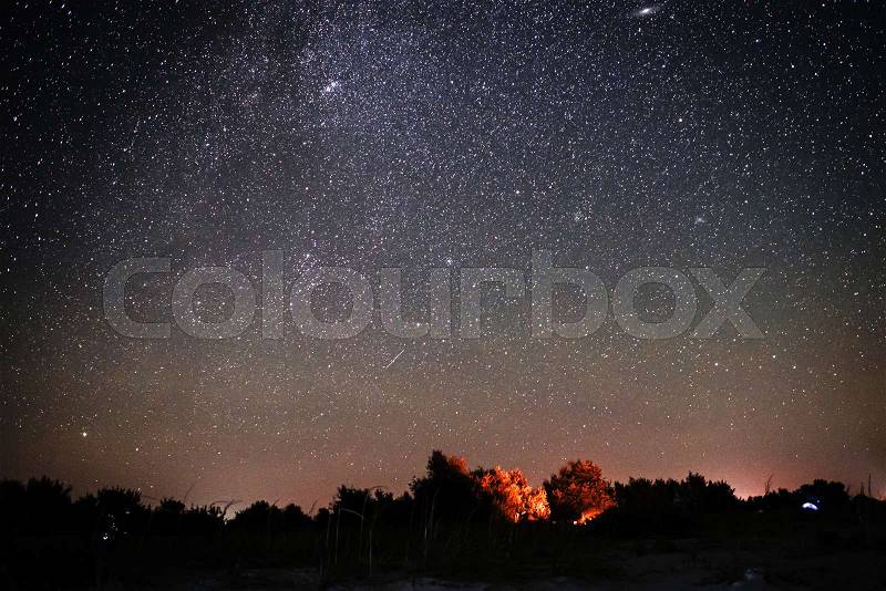 Background of bright starry night sky with lights upon on it and silhouette of trees, stock photo