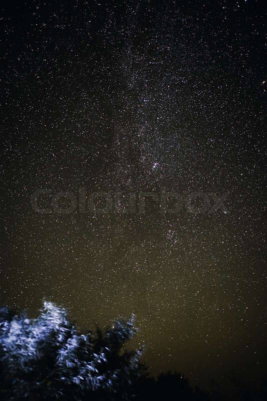 Vertical background of bright starry night sky with lights upon on it and silhouette of trees, stock photo
