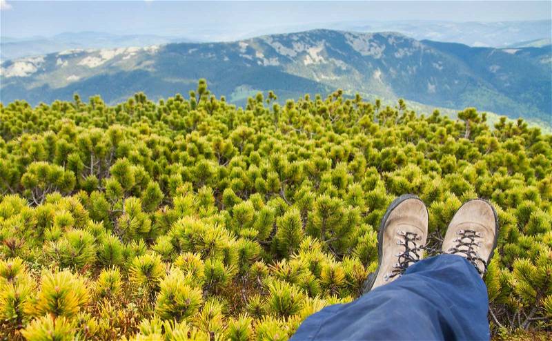 Tourist resting in the bushes low pines on the mountain top, stock photo