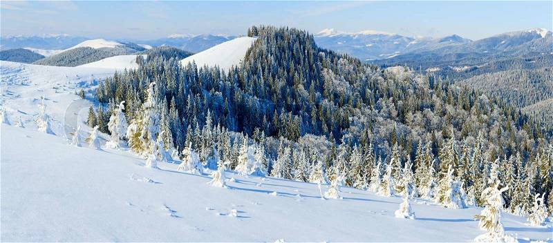 Winter calm mountain landscape with rime and snow covered spruce trees Five shots stitch image, stock photo