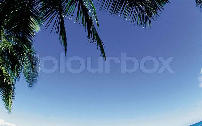 Beautiful Tropical island can be used as background, stock photo