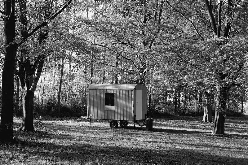 A construction trailer between the beeches in the park at the countryside of the village Abbenbroek in the beautiful autumn in black and white, stock photo