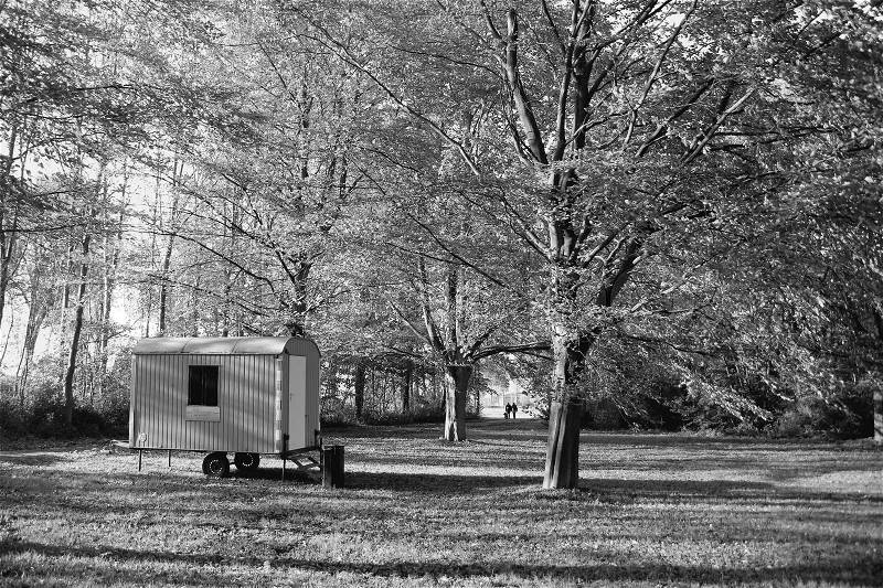 A construction trailer between the beeches in the park and in the distance a walking couple with a dog at the countryside of the village Abbenbroek in the beautiful autumn in black and white,, stock photo