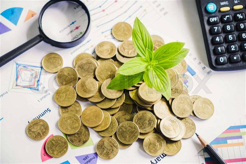 Tree growing on stack of coins on financial chart report with magnifying glass and calculator in background, idea for business growth concept, stock photo
