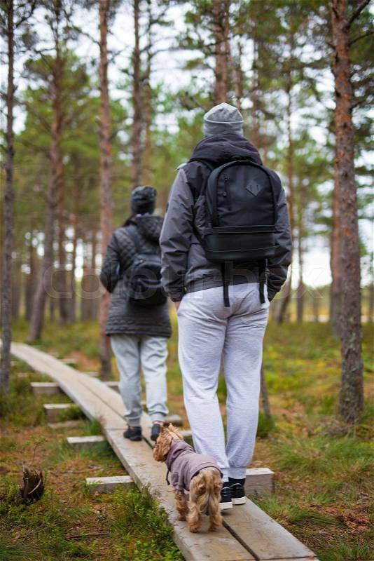 Couple with backpacks and little dog walking in autumn forest, stock photo