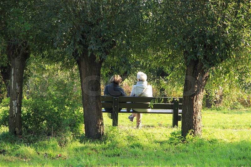 The two ladies on the wooden bench discuter their problems between the pollard willows in the park of the village Abbenbroek on a sunny day in the autumn, stock photo