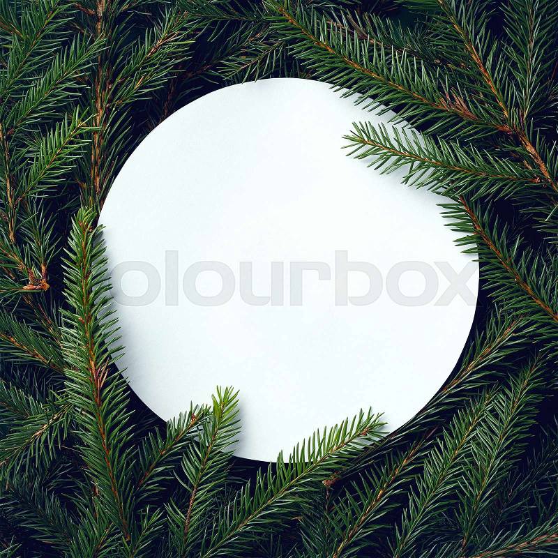 Frame of Christmas tree branches and blank round card with space for text. Top view, stock photo