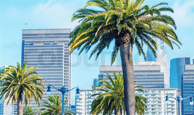 Beautiful San Francisco city skyline with palms, stock photo