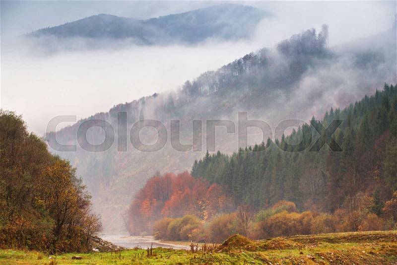 Autumn rain and fog in the mountains. Fog over the river. Thick fog around highest mountain tops. Colorful autumn forest background, stock photo