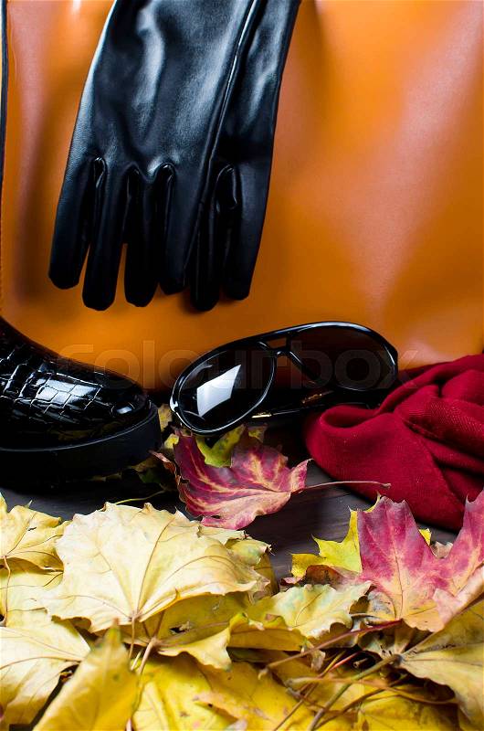 Collage of Feminine clothing and accessories. shoes, scarf, gloves, bag and glasses for autumn day in yellow and orange color on dark background. with fall leaves, stock photo