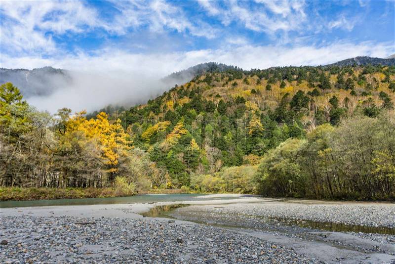 Beautiful view of mountain with fog and colorful yellow tree in early morning autumn, Kamikochi central Japan, stock photo