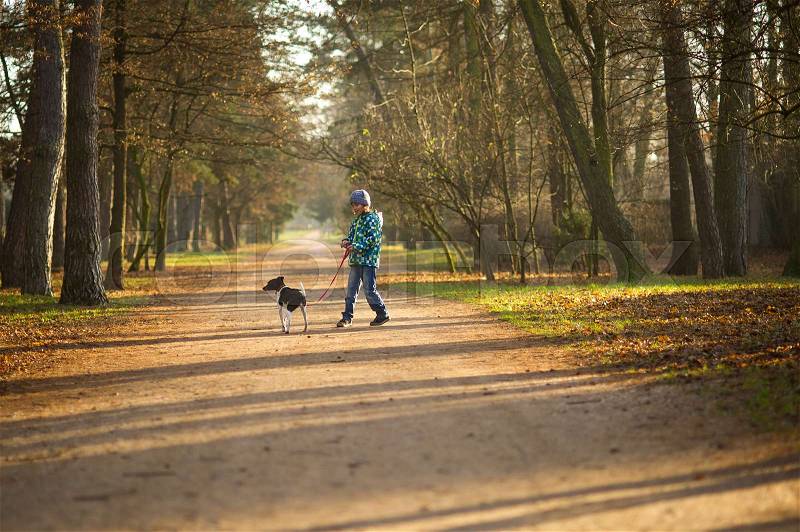 Boy 10-11 years walking the dog in autumn Park. He is holding the leash of a black-and-white cute dog, stock photo