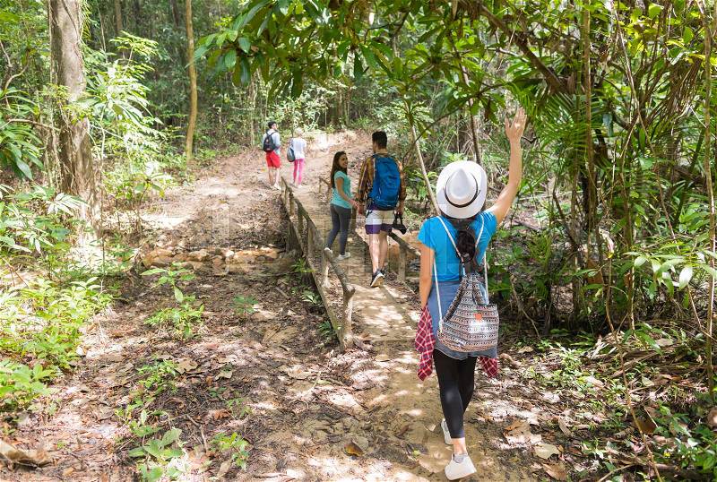 People Group With Backpacks Trekking On Forest Path Back Rear View Walk On Bridge, Mix Race Young Men And Woman On Hike Tourists Adventure Activity, stock photo