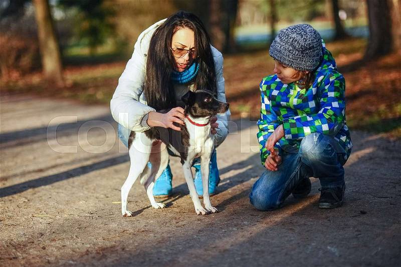 Mother and son walk their pet in the autumn Park. A woman and a boy sat down next to black-and-white dog. Mistress is petting the dog, stock photo