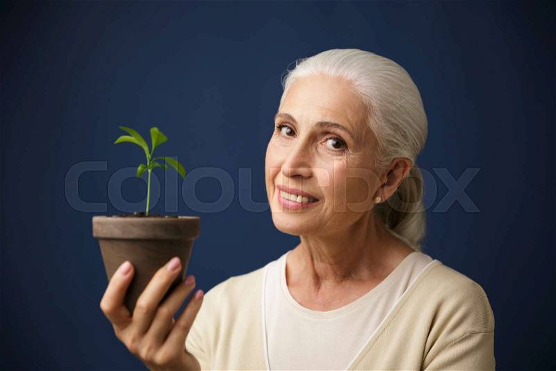Photo of cheerful aged woman holding young plant in the spot, looking at camera, over dark blue background, stock photo