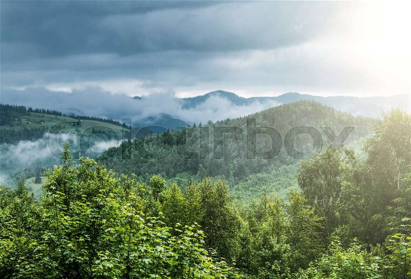 View on evergreen misty forest and top of mountains in fog. Scenery with dramatic rainy clouds, stock photo