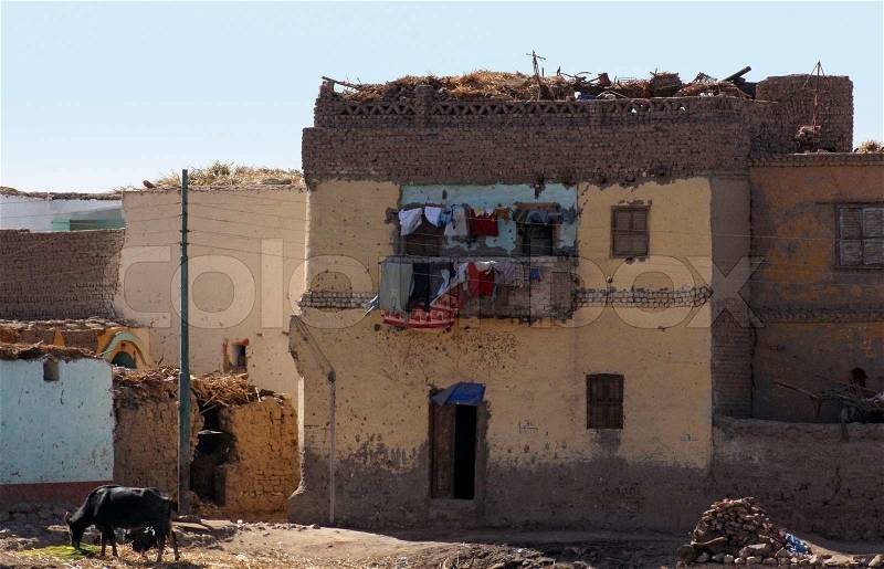 Rural scenery with low-grade houses in Egypt Africa at evening time, stock photo