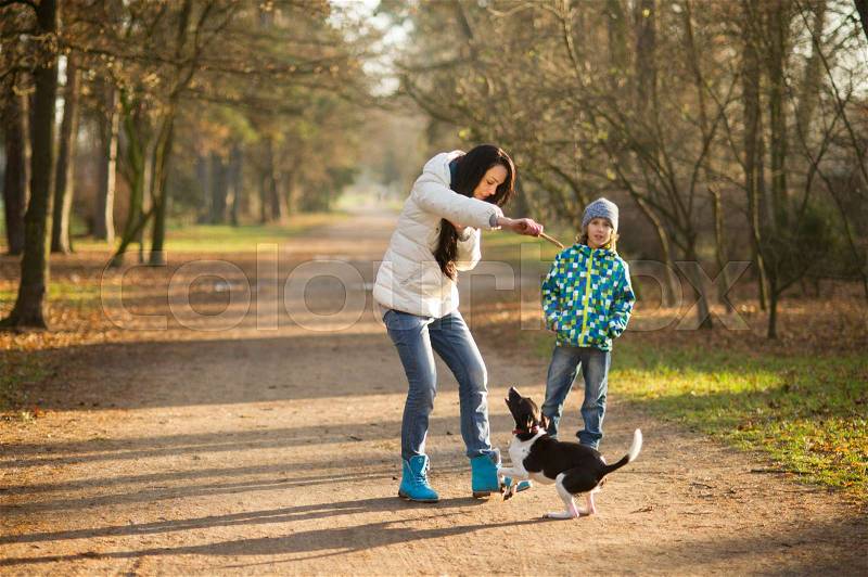 Mother and son walk their pet in the autumn Park. Young woman plays with a nice black-and-white doggie. Animal with pleasure executes commands of the hostess, stock photo