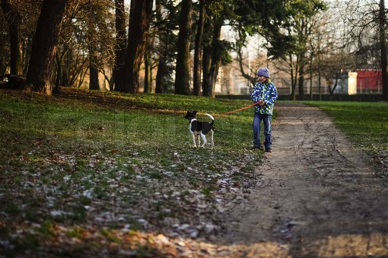 Boy 10-11 years walking the dog in autumn Park. He is holding the leash of a black-and-white cute dog, stock photo