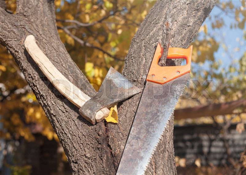 Axe and hand saw on a tree, stock photo