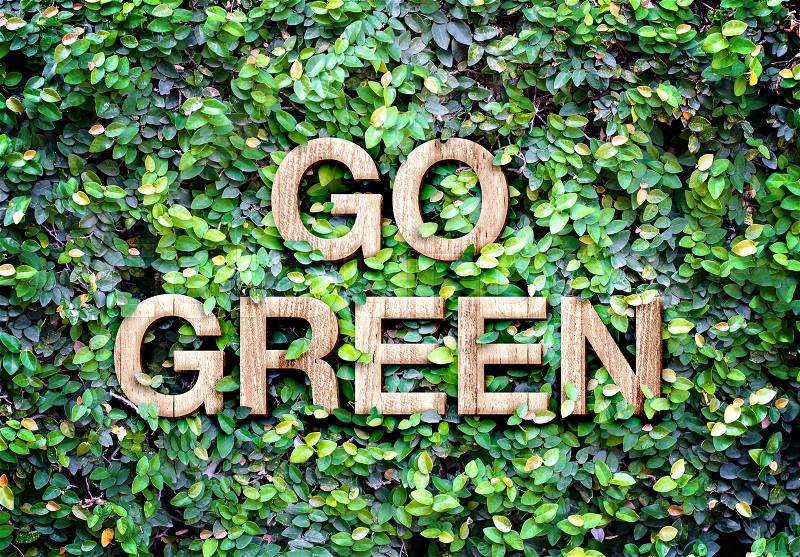Go green made of wood word on leaves wall,Eco concept, stock photo