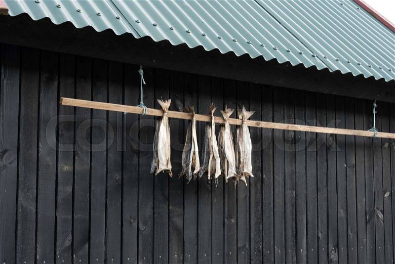 Dried cod outside a house in the Faroe Islands, stock photo