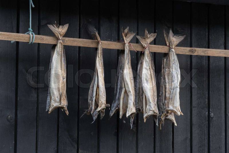 Dried cod outside a house in the Faroe Islands, stock photo