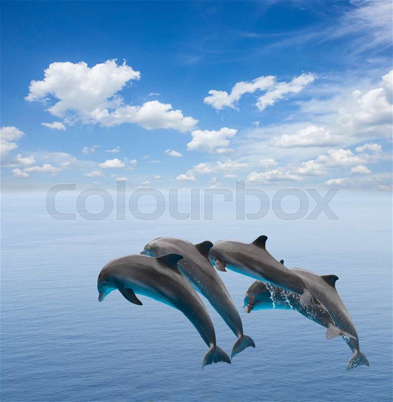 Some jumping dolphins, beautiful seascape with deep ocean waters, stock photo