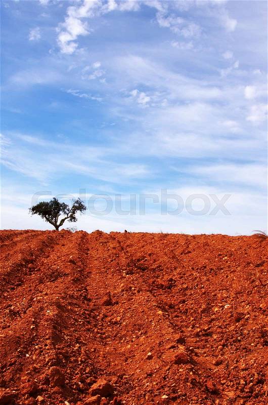 Red soil and tree in horizon, stock photo