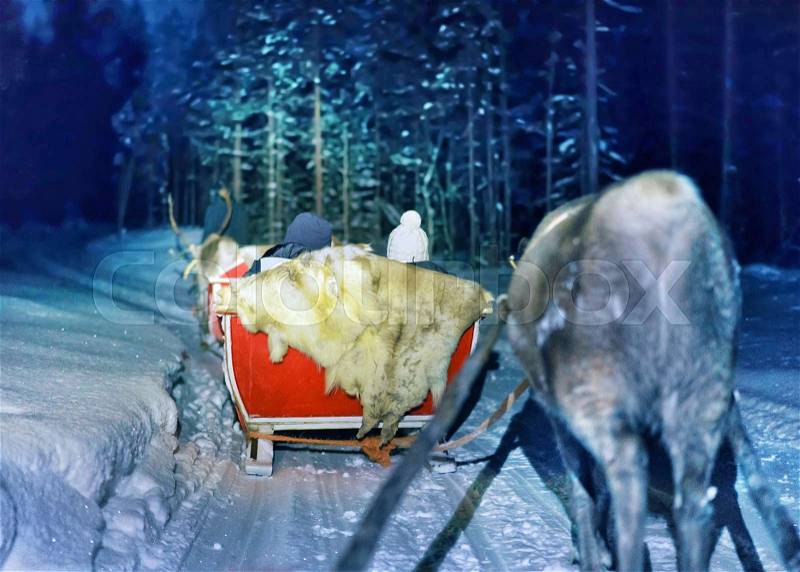 People in reindeer sleigh at night safari in the forest of Rovaniemi, Lapland, Finland. Toned, stock photo