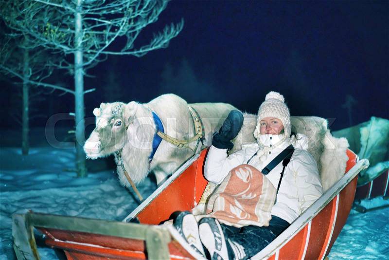 Girl in reindeer sleigh at night safari in the forest, Rovaniemi, Lapland, Finland. Toned, stock photo