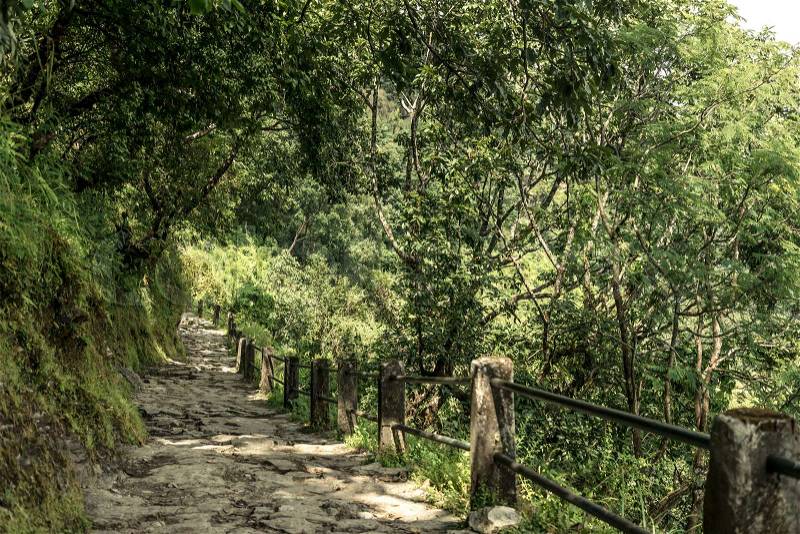Stone forest trekking path surrounded green trees, Annapurna circuit, Nepal, stock photo