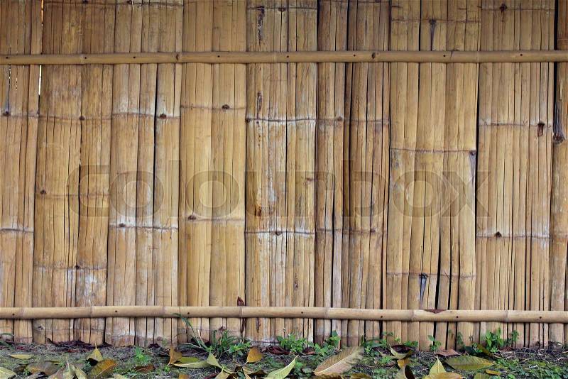 The bamboo wall of thailand, stock photo