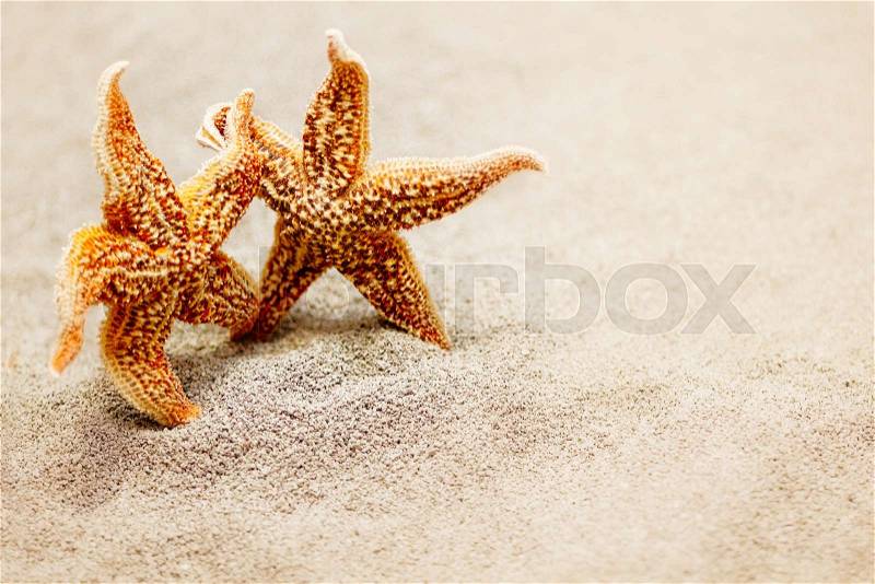 Meeting two starfish. The concept of a triotic trip for two or meeting two old friends. Photo on the background of sand, stock photo