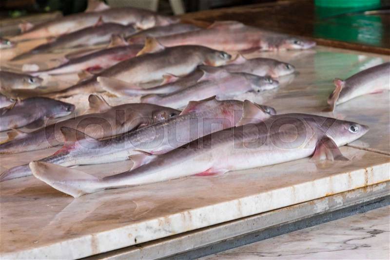 Colorful choice of fish at traditional market in Palermo, Sicily, Italy, stock photo
