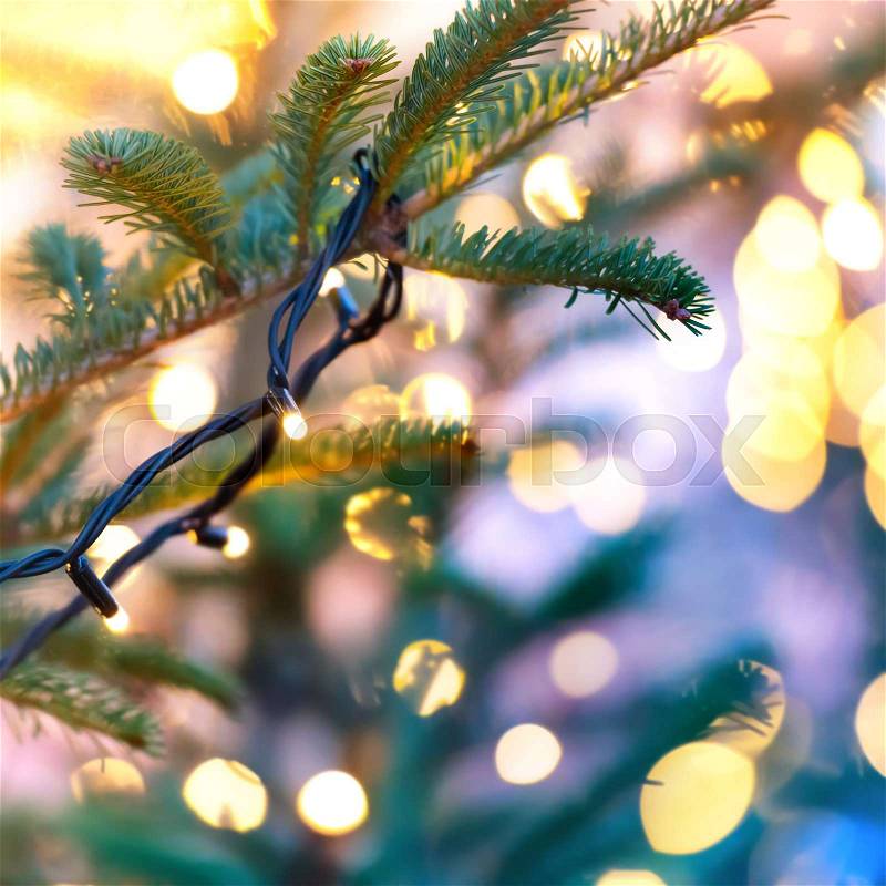 Holiday garland on christmas tree with blurred background, stock photo