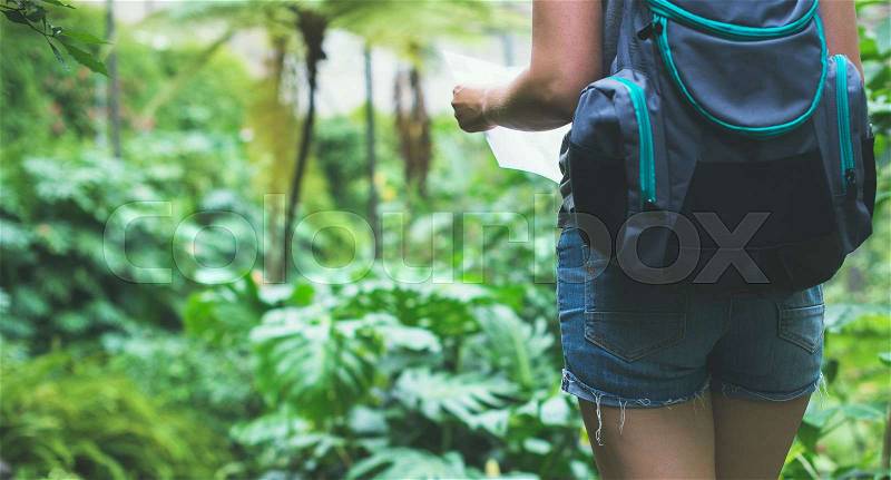 Woman traveller with map and backpack in the jungle, stock photo