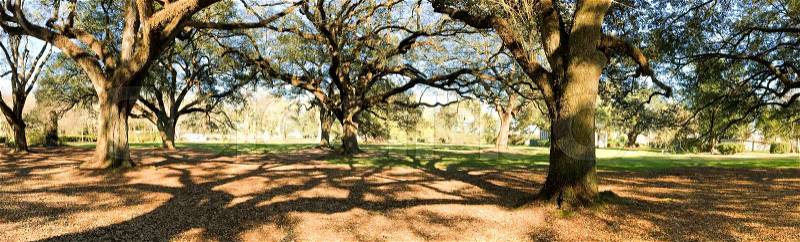 Panoramic view of Oak Alley Plantation, Louisiana, stock photo