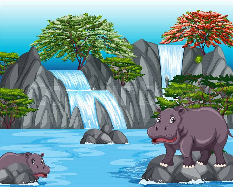 Two hippos at the waterfall scene illustration, vector