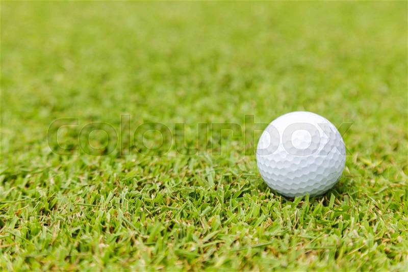 Golf ball on green grass on golf course, stock photo