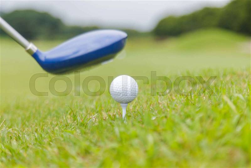 Golf club and golf ball on golf course, stock photo