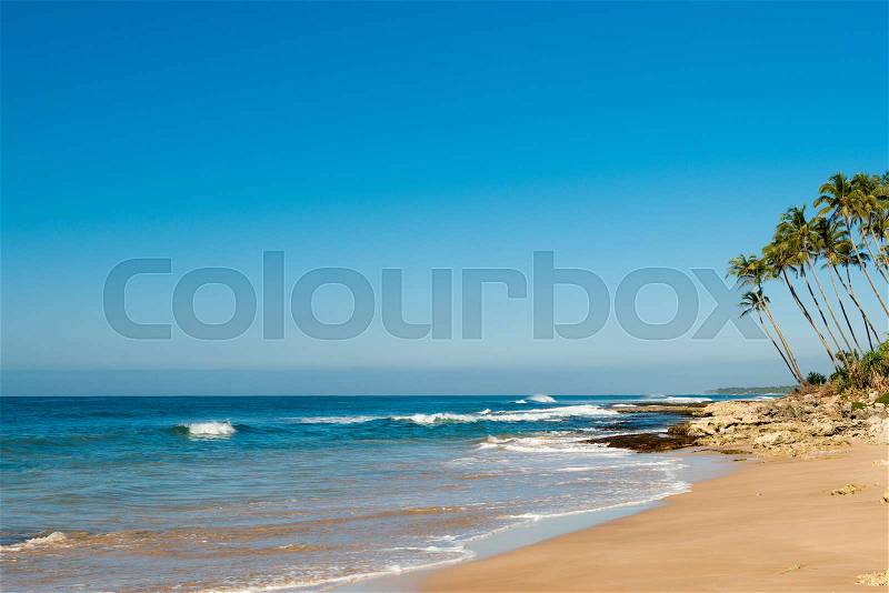 Landscape of the coast of the Indian Ocean in Sri Lanka, stock photo