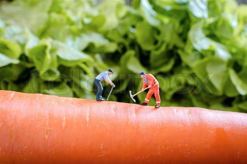 Miniature people worker digging into the carrot, stock photo