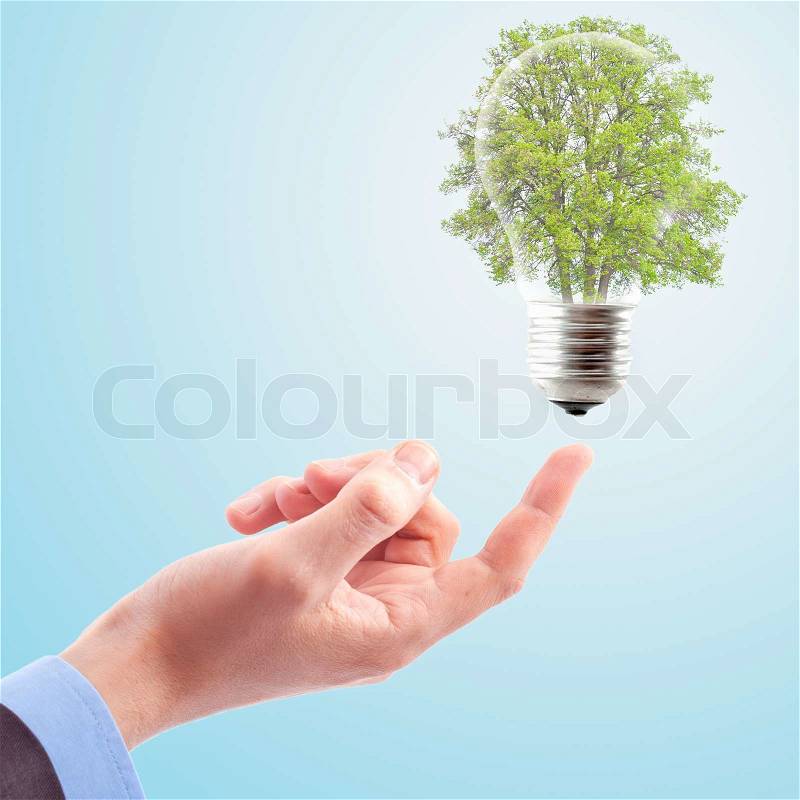 Hand with lamp and tree The concept of renewable energy, stock photo