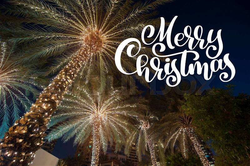 Christmas background palm tree in the night city with photo overlay Merry Christmas, greeting card, stock photo