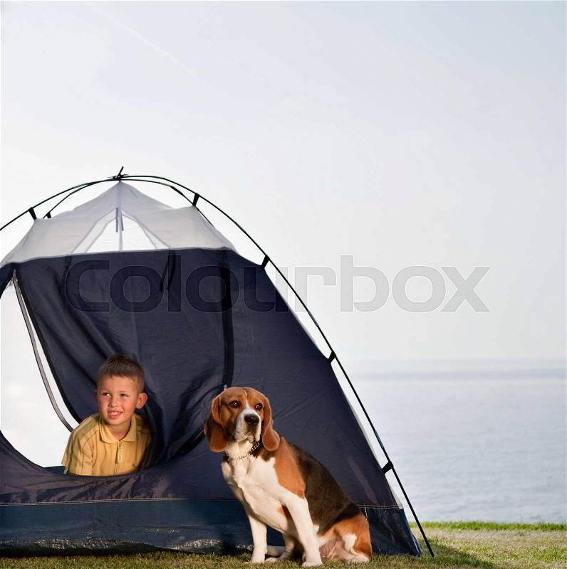 Boy with dog in tent by sea, stock photo